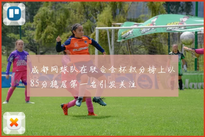 成都网球队在联合会杯积分榜上以85分稳居第一名引发关注